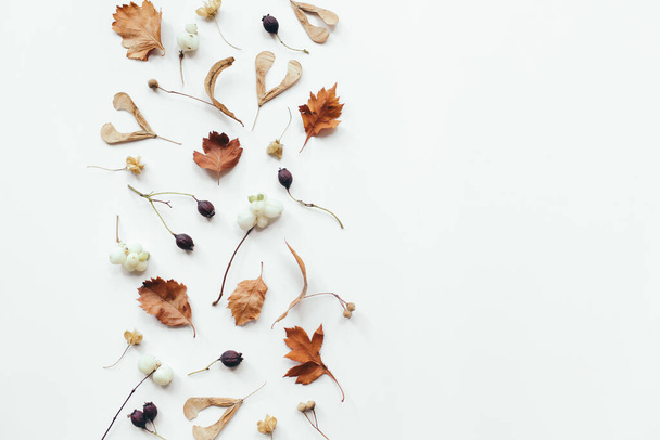 Autumn leaves on white background. Autumn, fall composition. Flat lay, top view, copy space - Фото, изображение