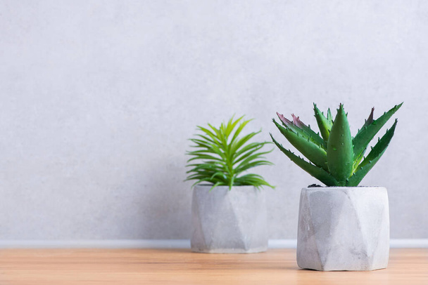 Two flowerpots of succulent plants in concrete style in Scandinavian kitchen on a background of concrete wall background. Kitchen interior. - Valokuva, kuva