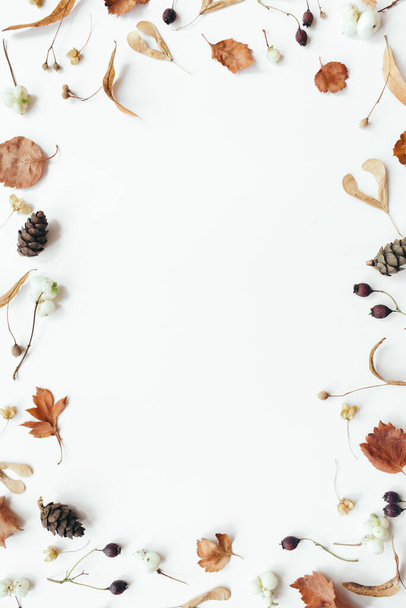 Autumn leaves on white background. Autumn, fall concept. Flat lay, top view, copy space - Foto, afbeelding