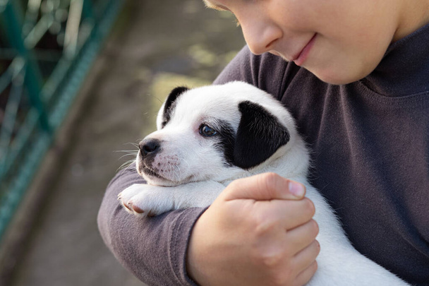 The boy is holding his pet, a small black and white puppy. Walk in the street. Taking care of animals. - Фото, зображення