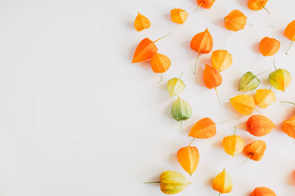 Autumn composition. Colorful flowers of physalis on pastel gray background. Autumn, fall concept. Flat lay, top view, copy space - Foto, imagen