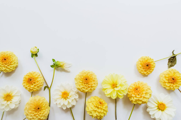 Yellow, white flowers dahlias on white background. Flowers composition. Flat lay, top view, copy space. Summer, autumn concept. - Fotografie, Obrázek