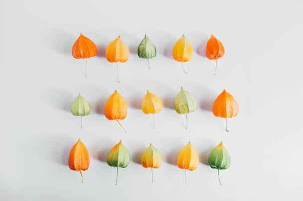 Δημιουργική διάταξη κίτρινων, πορτοκαλιών και πράσινων λουλουδιών της Φύσαλης. Φθινοπωρινή σύνθεση. Εποχή. Επίπεδο lay, πάνω όψη - Φωτογραφία, εικόνα