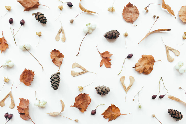 Autumn leaves on white background. Autumn, fall composition. Flat lay, top view, copy space - Foto, imagen