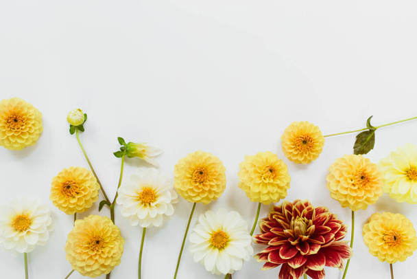 Yellow, white, red flowers dahlias on white background. Flowers composition. Flat lay, top view, copy space. Summer, autumn concept. - Fotó, kép