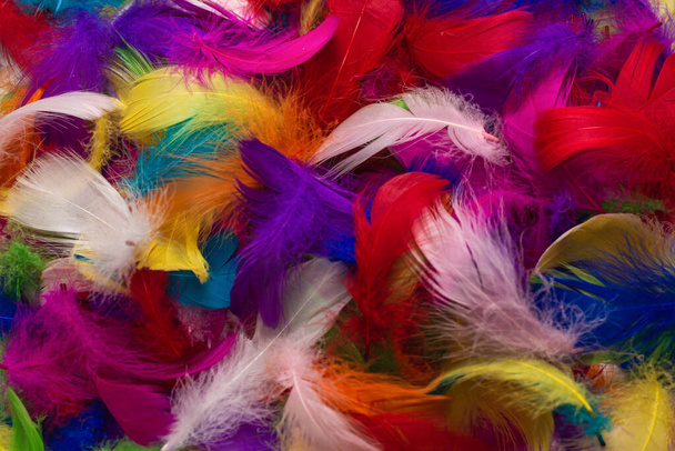 Colorful feather background. Top view. - Photo, Image