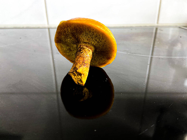 a fresh mushroom on a smooth, reflective surface - Photo, Image