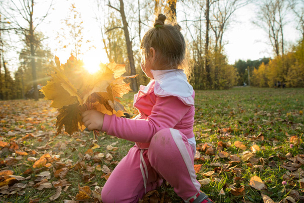 Маленька дівчинка в рожевому костюмі тримає зібране апельсинове листя в осінньому парку
 - Фото, зображення