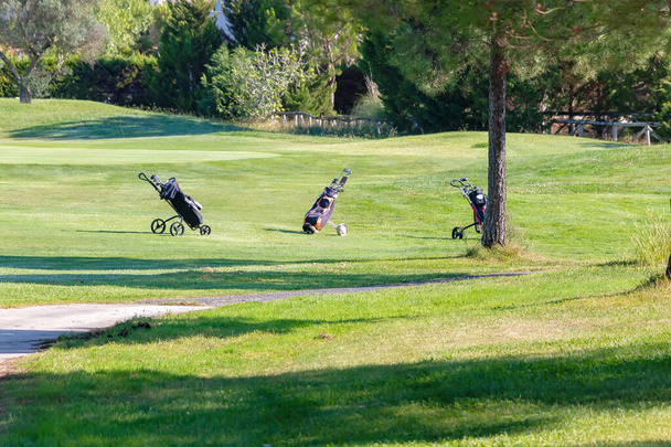 Palos de golf en bolsa en el carro - Foto, Imagen