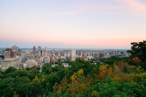 de skyline van de stad van Montreal - Foto, afbeelding