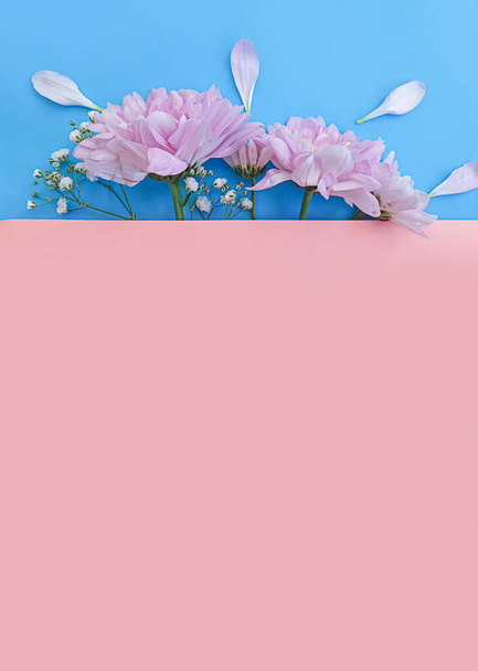 beautiful flower on a colored background, creative  - Valokuva, kuva