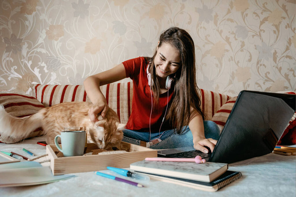 Γραφείο στο σπίτι, χώρος εργασίας, εργασία από το σπίτι έννοια. Νεαρή γυναίκα με λάπτοπ και γάτα που δουλεύει στον καναπέ. Ευέλικτες ώρες εργασίας. - Φωτογραφία, εικόνα