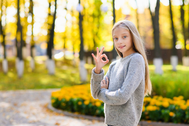 Πορτρέτο ενός κοριτσιού στο πάρκο του φθινοπώρου. Κορίτσι δείχνει εντάξει σημάδι και χαμόγελα - Φωτογραφία, εικόνα