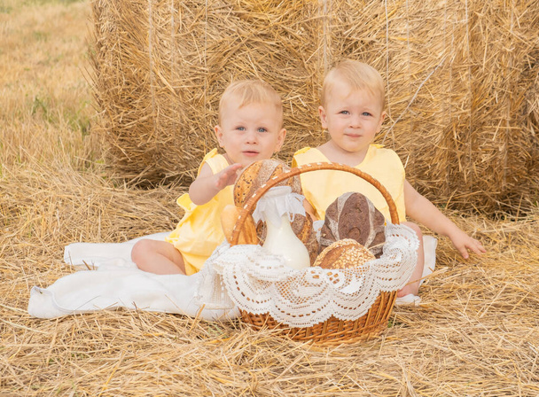 İki ikiz çocuk samanlıkta aç ekmek ve süt sepetine bakar.. - Fotoğraf, Görsel