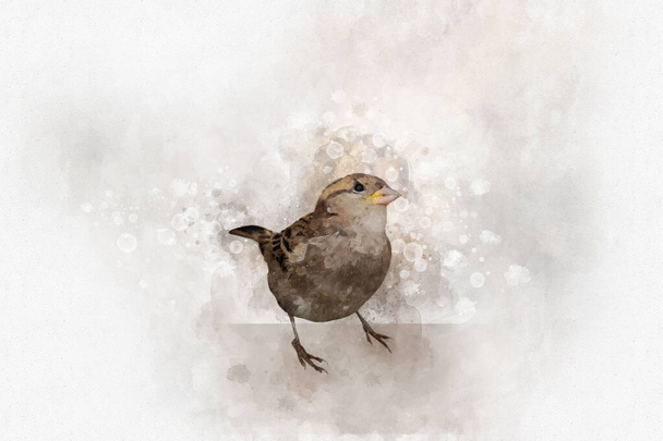 Malý vrabec akvarel digitální malba vintage efekt - Fotografie, Obrázek