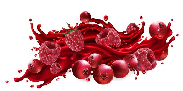 Splash of fruit juice with cranberries and raspberries. - Вектор, зображення