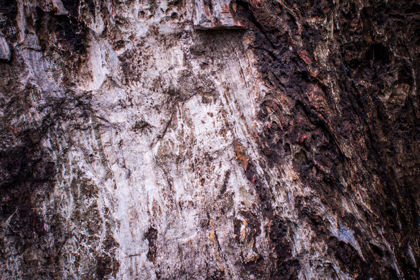 A kő felszínének vignifikálása. Az ötlet a textúra háttér. Természetes sziklák közelkép lövés. - Fotó, kép
