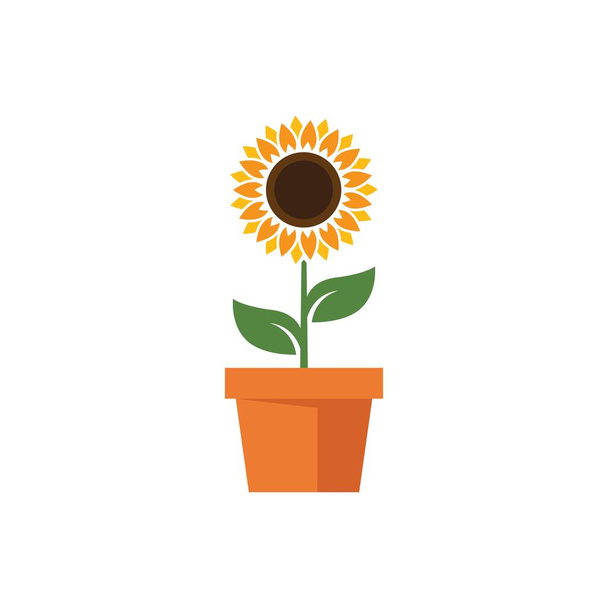 Sunflower vector design illustration template   - Vector, Image
