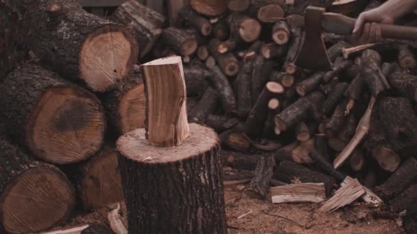 Un grande uomo forte spacca il legno con l'ascia - Filmati, video