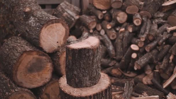 El hombre fuerte hace que un hacha poderosa golpee la madera - Metraje, vídeo