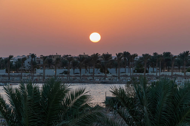 El sol que sale sobre las palmeras y el Mar Rojo en Hurghada, Egipto - Foto, imagen