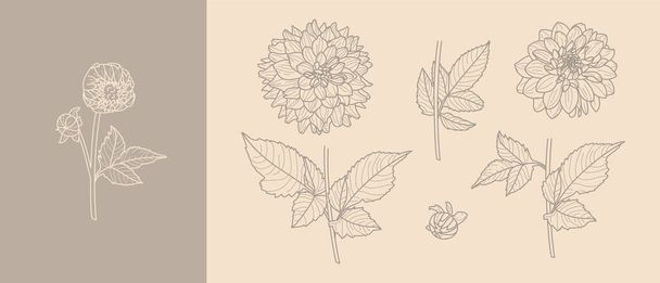 トレンディミニマルライナースタイルで葉とダリアの花を設定します。Tシャツ、ウェブデザイン、招待状、ポスター、ロゴやパターンを作成するためのベクトル花イラスト - ベクター画像