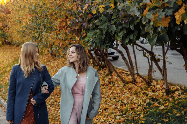 Two sisters are walking in the autumn Park and talking animatedly.  - Фото, зображення