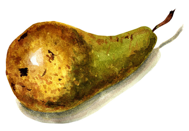Una pera verde fresca, entera, con manchas marrones, acostada en su costado. Ilustración en acuarela aislada sobre fondo blanco. Dibujado a mano. - Foto, Imagen