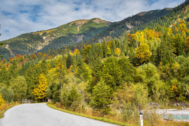 Vista de otoño de los árboles de arce en Ahornboden, montañas Karwendel, Tirol, Austria - Foto, imagen