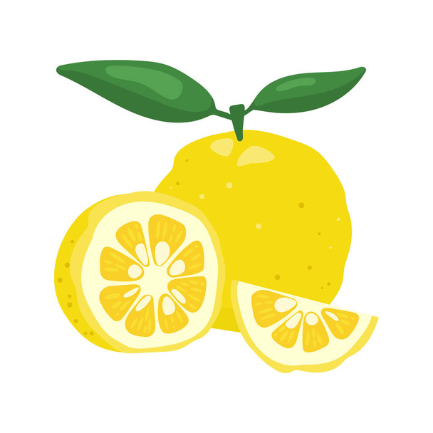 Yuzu японський цитрон фрукти Векторні ілюстрації
. - Вектор, зображення