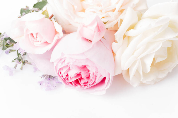 ロマンチックなバナー、繊細な白いバラの花を閉じる。芳香のあるクリーム黄色の花弁 - 写真・画像