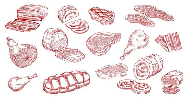 Pork sausage, veal beef and lamb steak sketches. Bacon, ham and jamon leg, meat roll, chicken or turkey legs, sirloin, brisket and mortadella engraved vectors set. Raw and processed meat products - Vector, Image