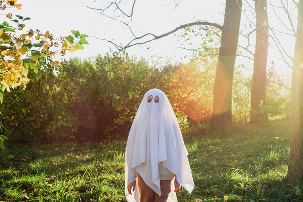 child in a costume ghost in autumn park or forest. Halloween celebration holiday. yellow autumn, sunset - Photo, Image