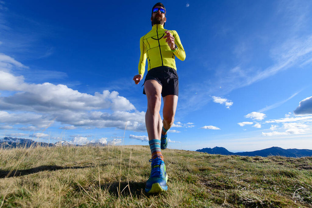 Mountain runner in a meadow trains for a marathon - Photo, Image