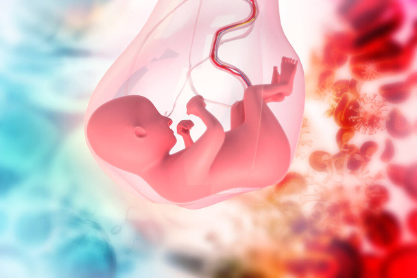 Fœtus humain sur fond scientifique - Photo, image
