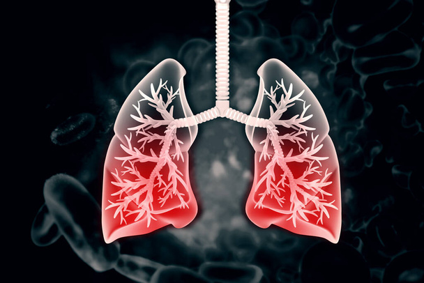 人間の肺の科学的背景 - 写真・画像