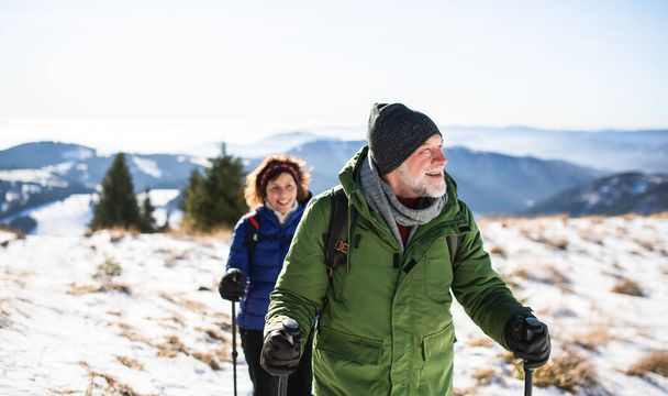 Senior couple with nordic walking poles hiking in snow-covered winter nature. - Fotó, kép