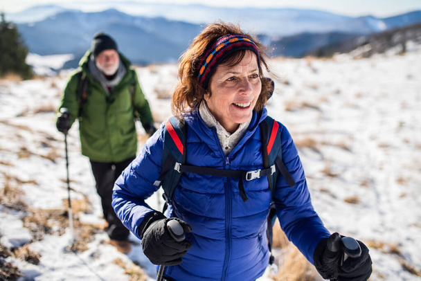 Senior couple with nordic walking poles hiking in snow-covered winter nature. - 写真・画像