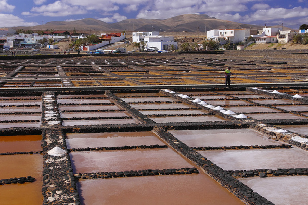 Salinen auf der Insel Fuerteventura, Kanarische Inseln, Spanien - Foto, Bild
