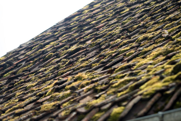 Červené kachlíčkované střechy Kuldigových starých městských budov. Lotyšsko - Fotografie, Obrázek
