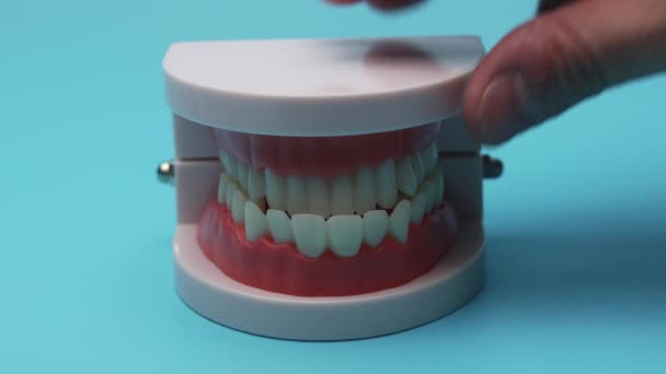 un dentista che pulisce la dentiera. Una protesi dentale, simulazione. - Filmati, video