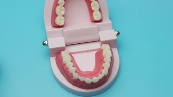 Takma dişleri silen bir dişçi. Bir diş protezi, simülasyon. - Video, Çekim