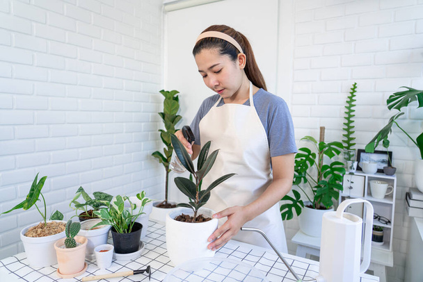 Giovane donna asiatica giardiniere in abiti casual prendersi cura e schizza per vasi di piante da casa sul tavolo di legno bianco, Concetto di giardino di casa e interni eleganti con un sacco di piante - Foto, immagini