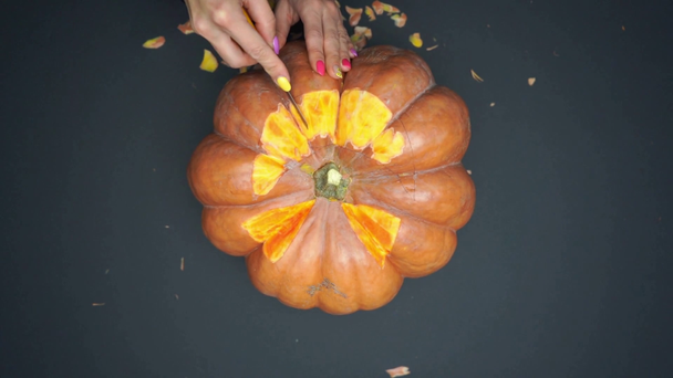 partial view of woman holding knife and carving orange pumpkin on black - Footage, Video