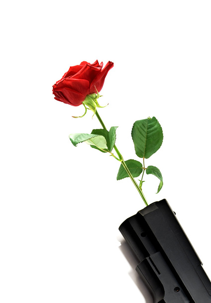 Red rose - Foto, Imagem