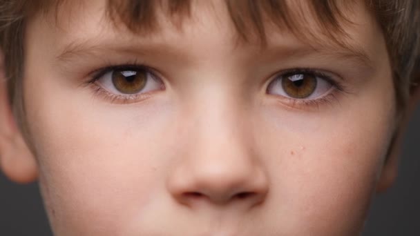 Highly Detailed Portrait of Caucasian Boy. Beautiful Child Looking at the Camera. Close-Up Boys Brown Eyes. Kids Focused Look. Childrens Emotions. Natural Beauty. Portrait of a Little Cute Boy Face - Footage, Video