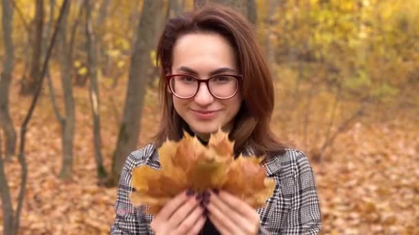 Gözlüklü genç kadın sonbahar ormanında bir buket sarı yaprak tutuyor. - Video, Çekim