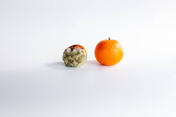 mandarino arancione marcio ammuffito su uno sfondo nero, frutta viziata - Foto, immagini