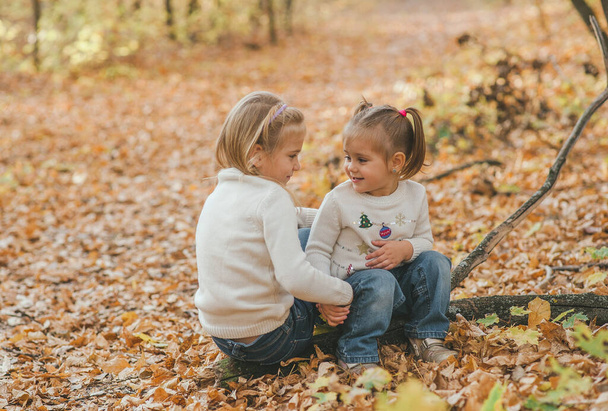 Portrait of two small happy sisters sitting on the log at autumn park and holding each other's hands. Autumn background, family concept, love concept - Fotoğraf, Görsel