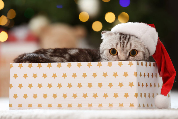 Roztomilý legrační kočka se Santa klobouk v krabici doma na Štědrý večer - Fotografie, Obrázek